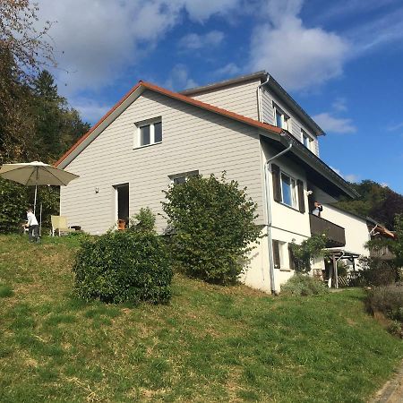 Alpenpanorama Am Hochrhein Villa Гайлинген Екстериор снимка