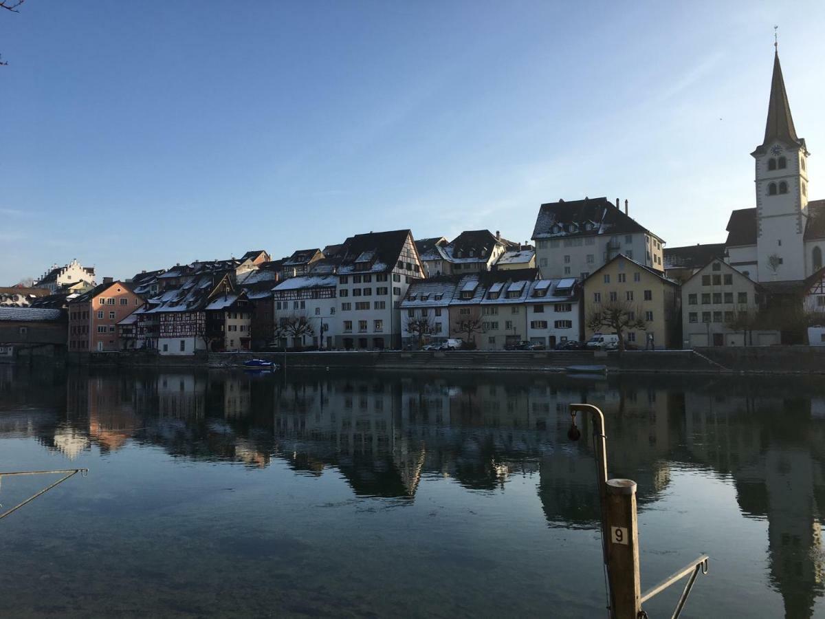 Alpenpanorama Am Hochrhein Villa Гайлинген Екстериор снимка