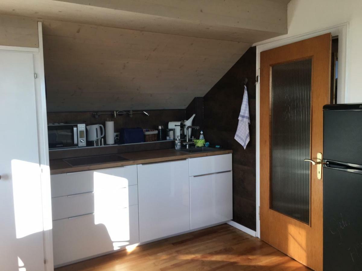 Alpenpanorama Am Hochrhein Villa Гайлинген Екстериор снимка