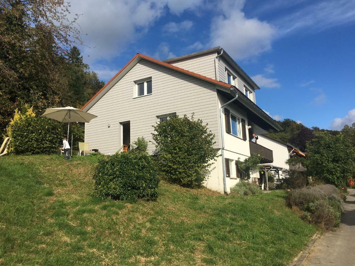 Alpenpanorama Am Hochrhein Villa Гайлинген Екстериор снимка