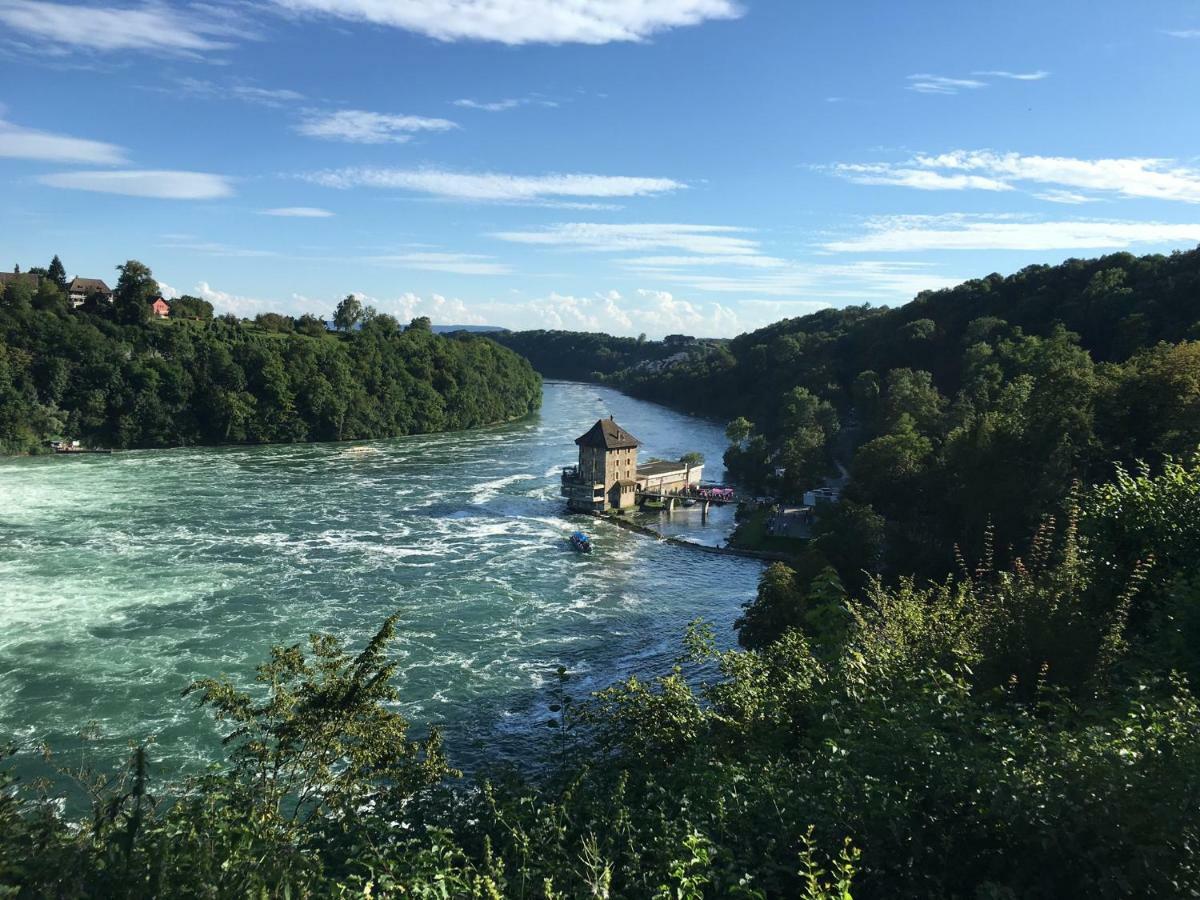 Alpenpanorama Am Hochrhein Villa Гайлинген Екстериор снимка