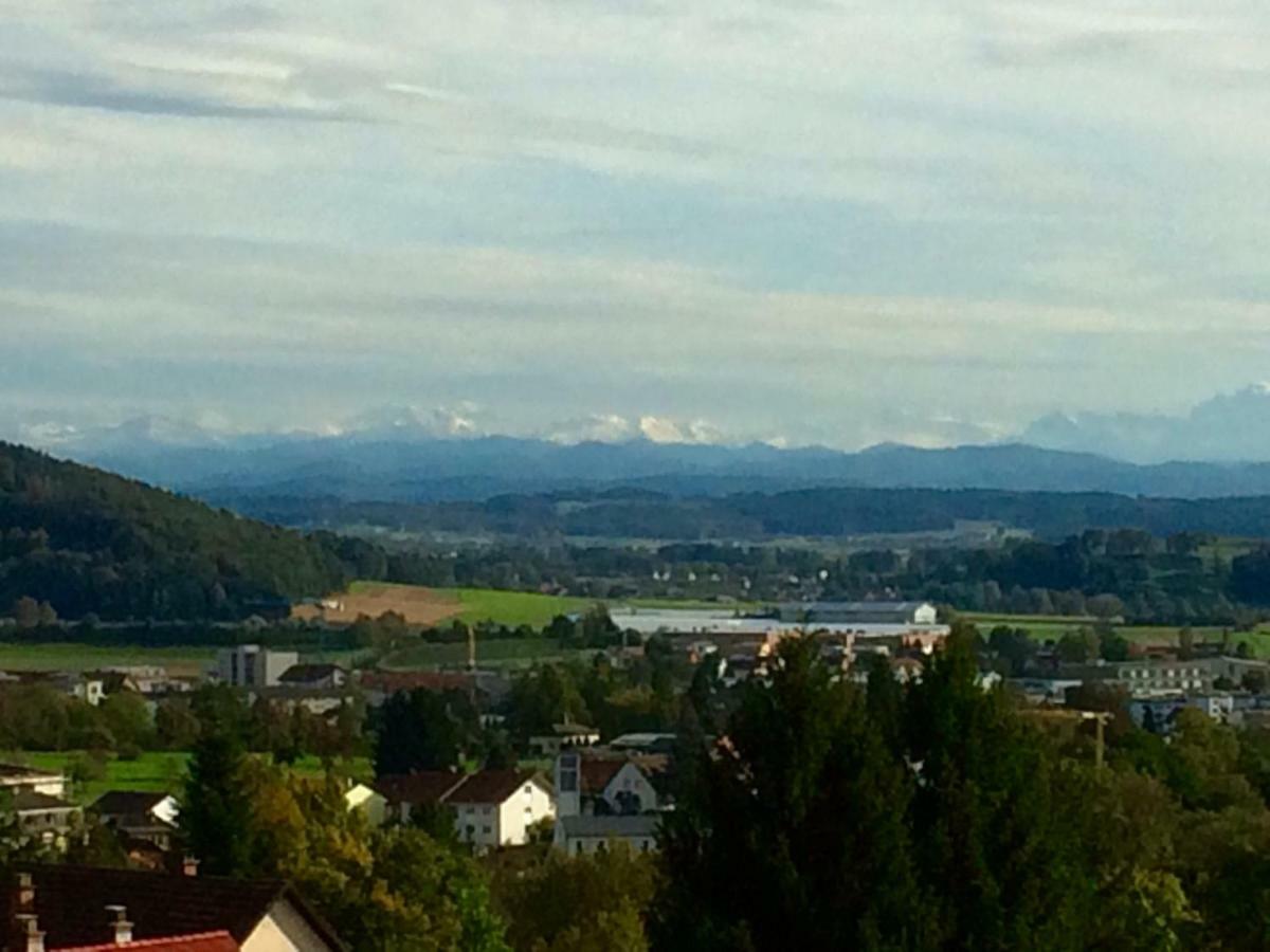 Alpenpanorama Am Hochrhein Villa Гайлинген Екстериор снимка