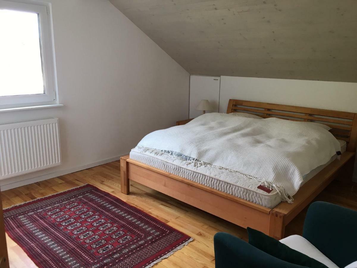 Alpenpanorama Am Hochrhein Villa Гайлинген Екстериор снимка