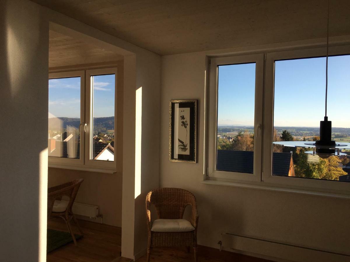 Alpenpanorama Am Hochrhein Villa Гайлинген Екстериор снимка